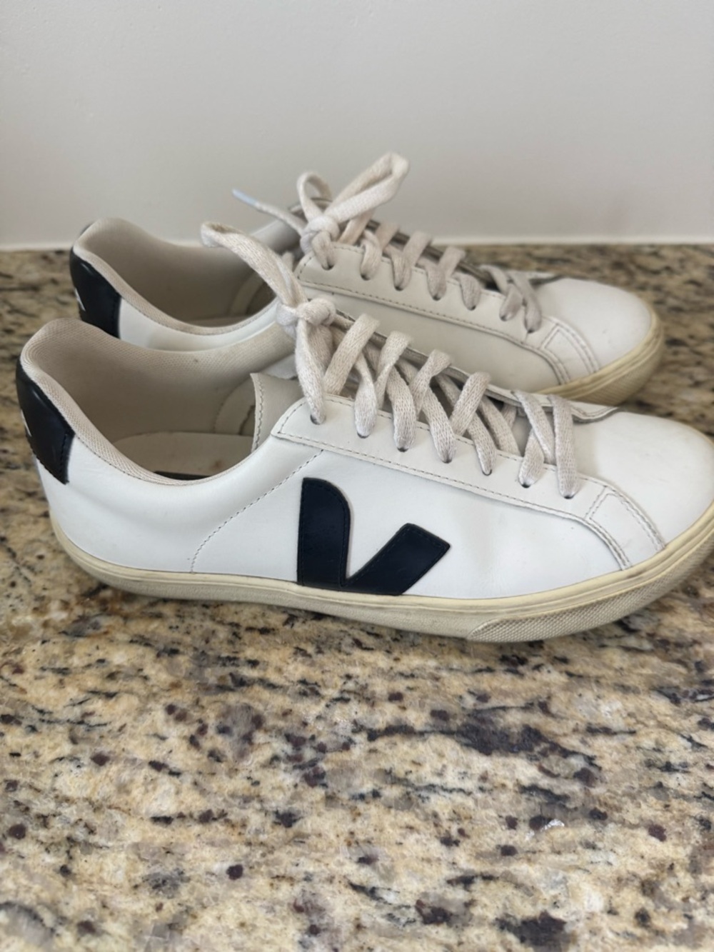 Veja White Low-Top Sneakers with Black V Accent